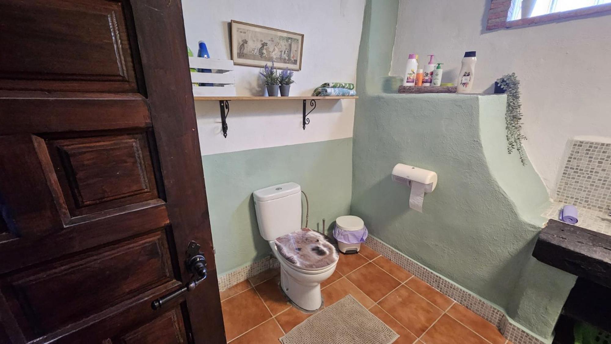 Apartamento Experience Alpacas In Andalucia Córdoba Exterior foto
